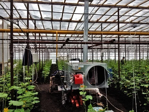 FARM 155G